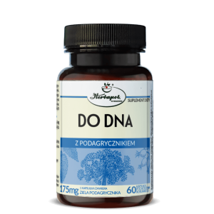 Do dna z podagrycznikiem 60 kaps HERBAPOL