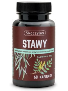 Stawy - Kadzidłowiec, Biała Wierzba 60kaps SKOCZYLAS