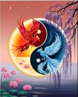 Zestaw do malowania po numerach Yin Yang Ptaki 40 x 50 cm TISHIRON