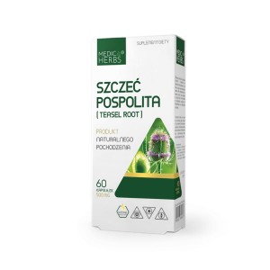 Szczeć Pospolita (Teasel Root) 60 kapsułek 500 mg MEDICA HERBS